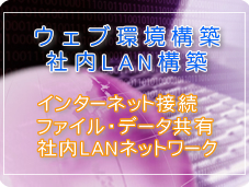 ウェブ環境構築(インターネット接続)／社内LAN構築 